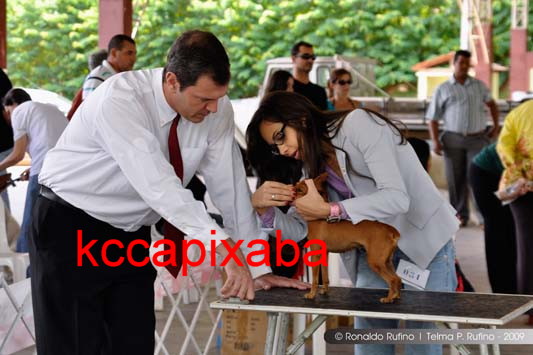 Clique sobre a foto para fechar